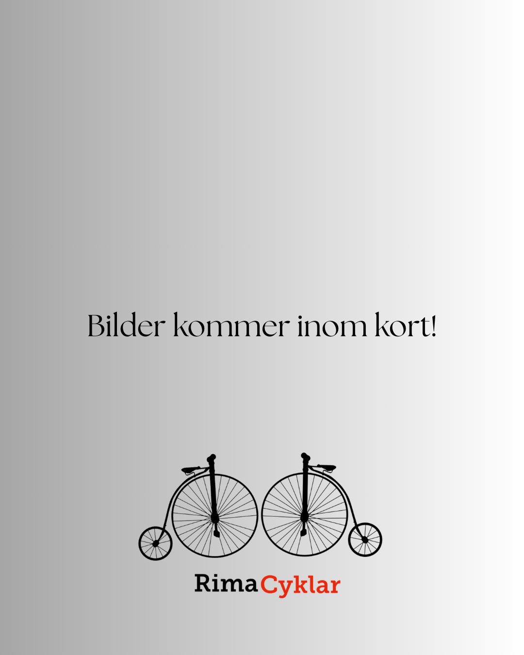 Ecoride Ambassador M-3 - Begagnad Elcykel | 9 växlar | 1 års garanti