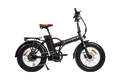 Rawbike 250E