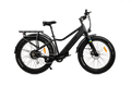 Rawbike Urban